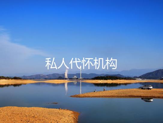 私人代怀机构